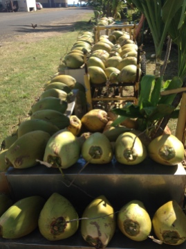 Road stands with fresh coconuts are common and everywhere on the islands.