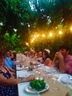 Dinner in the Orchard and under the Stars